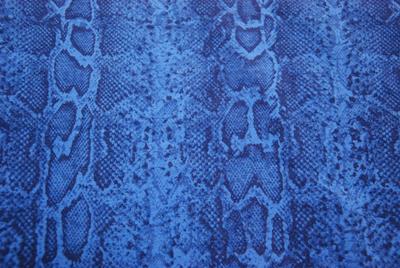 Single Jersey Printed Cotton/Lycra 205 GR/M2