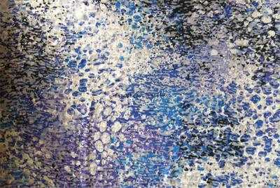 Single Jersey Printed/Burnout Cotton/Poly 90 GR/M2